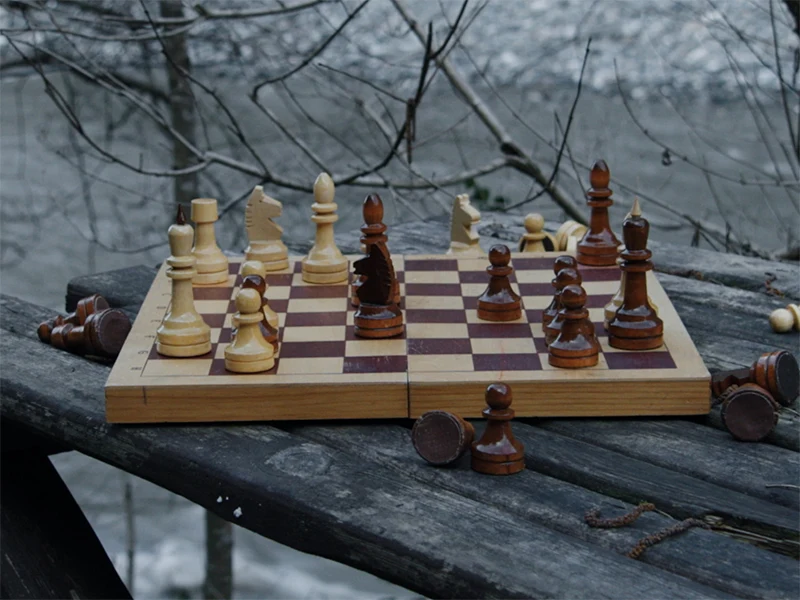 «Ваш ход, Королева!». Премьера научно-популярного фильма о женщинах в мире шахмат - 3